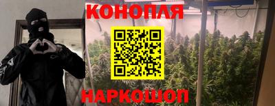 прущие грибы Гусев
