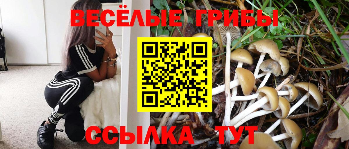 Галлюциногенные грибы MAGIC MUSHROOMS  Вход с VPN  цены наркотик  Нижнеудинск 