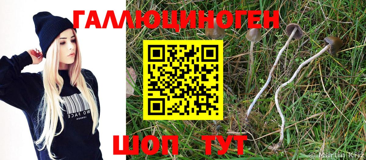 Галлюциногенные грибы GOLDEN TEACHER Нижнеудинск
